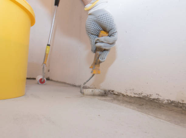 Best Fumigation Services  in Pomona Park, FL